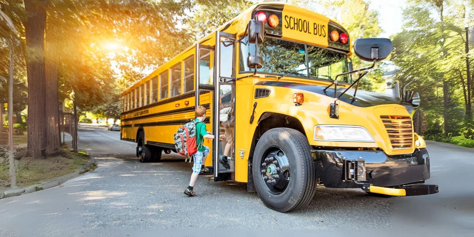 Selección de la Escuela Ideal en Tampa para tus Hijos