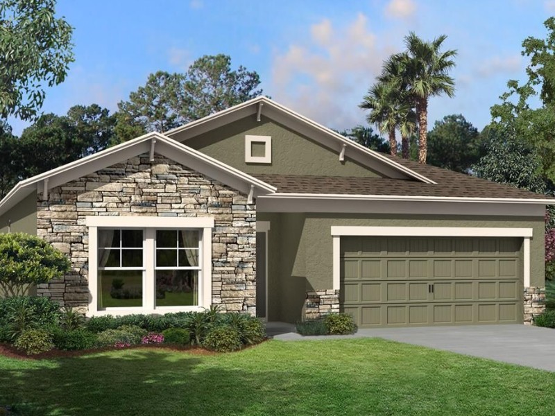 7989 Roma Dune Drive - Florida - Wesley Chapel - 33545