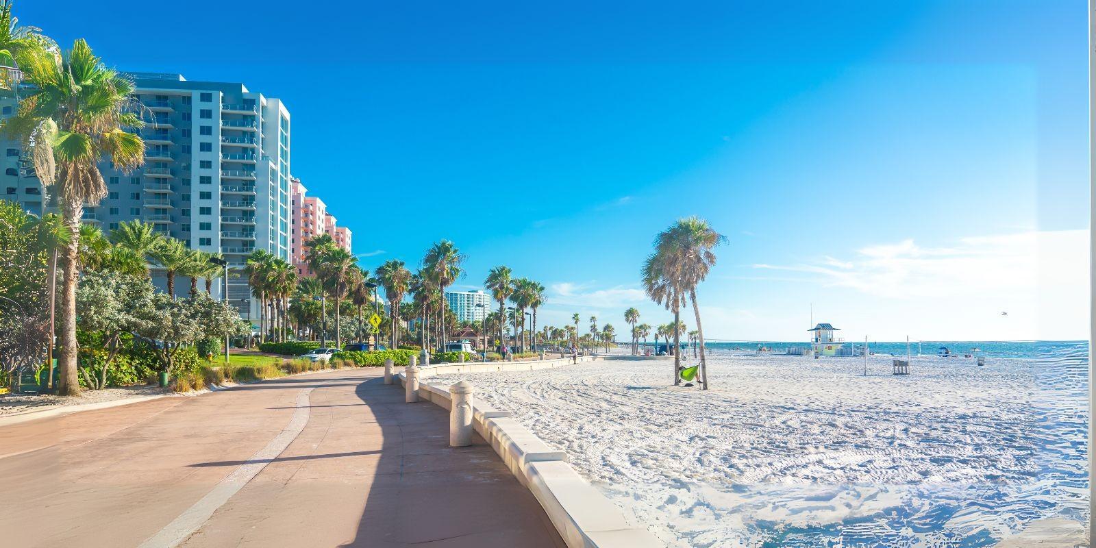 Aprovecha al máximo tu día en Tampa